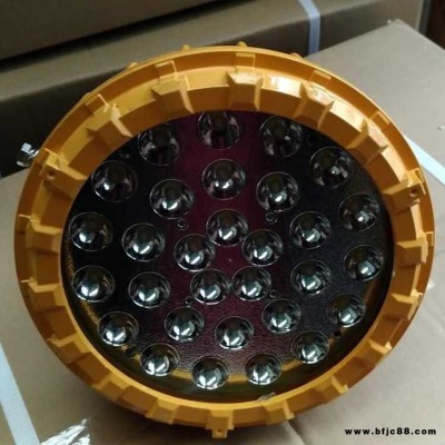 LED防爆燈24VLED防眩泛光燈防爆 免維護LED節(jié)能燈102030W