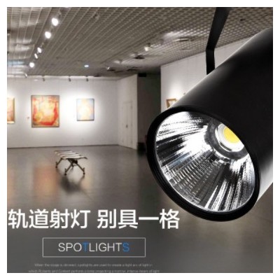 廠家批發(fā)10w12w15W20W30WCOB軌道燈LED軌道射燈 服裝店明裝筒燈
