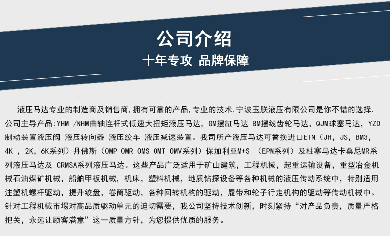 馬達(dá)系列注塑機(jī)熔膠馬達(dá) 挖掘機(jī)注塑機(jī)熔膠油馬達(dá)示例圖8