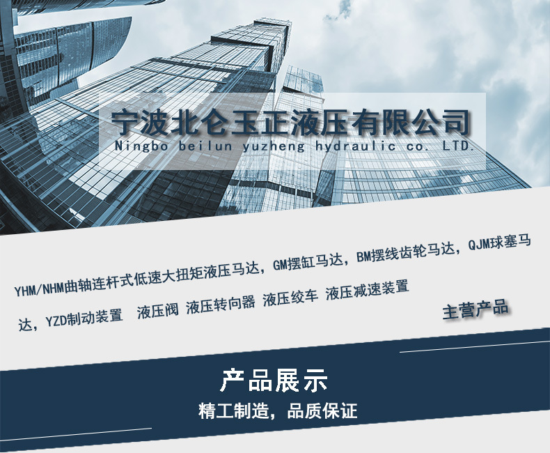 馬達(dá)系列注塑機(jī)熔膠馬達(dá) 挖掘機(jī)注塑機(jī)熔膠油馬達(dá)示例圖1