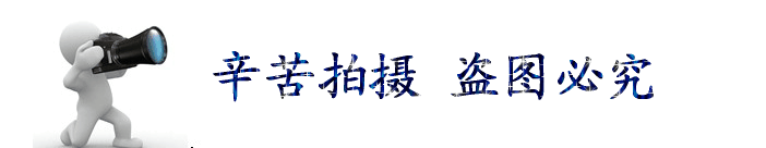 經銷供應 湘鋼Q235B熱軋鋼板 22號中厚板 機械自造專用板材示例圖2