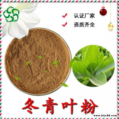 冬青葉粉 速溶冬青葉粉 冬青葉浸膏粉 冬青葉提取物