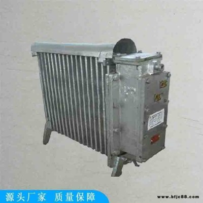 鼎東煤礦用防爆電暖器  防爆電暖器  礦用防爆電熱取暖器
