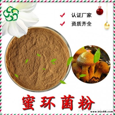 蜜環菌粉 速溶蜜環菌粉 蜜環菌浸膏粉 蜜環菌提取物