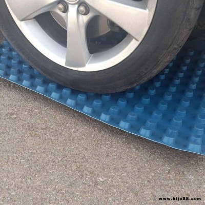 湖南排水板 車庫頂板排水板批發 HDPE排水板廠家