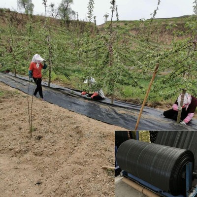 防草布 果園保濕透氣防草地布 宇潤(rùn)pp防草地布