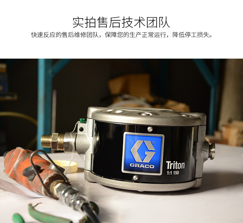美國固瑞克/GRACO308泵浦維修包245067球座維修包球閥原裝修理包示例圖3