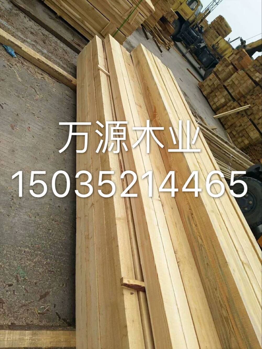 8992648333_192953475