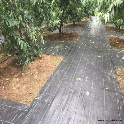 防草地布廠家德州宇潤定制黑色防草布 大棚果園防草地布PE除草布