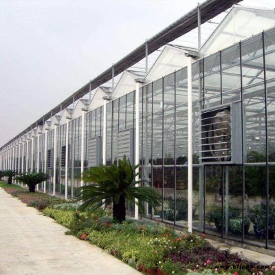 鋼結構大棚骨架 菏澤大棚骨架廠 安陽大棚骨架廠