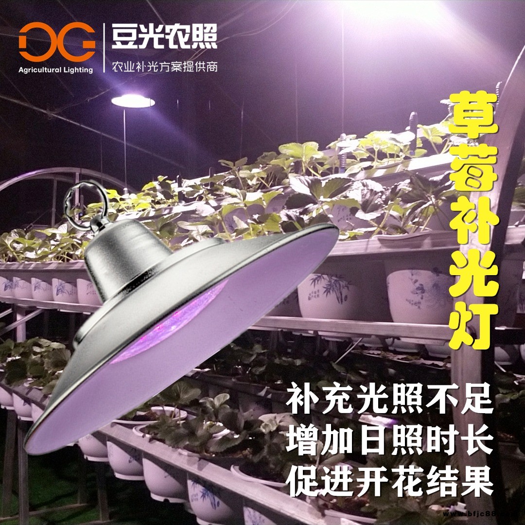 設(shè)施草莓專用光照燈 LED全光譜植物生長燈 大棚防水補(bǔ)光燈 垂直農(nóng)業(yè)照明