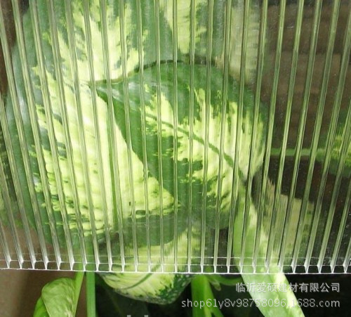 PC陽光板 農(nóng)業(yè)溫室大棚采光保溫板 聚碳酸酯板 濰坊批發(fā)商價格示例圖8
